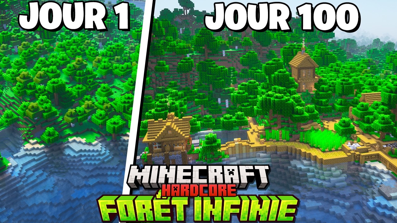 J'ai Survécu 100 JOURS dans une FORÊT INFINIE sur MINECRAFT HARDCORE !
