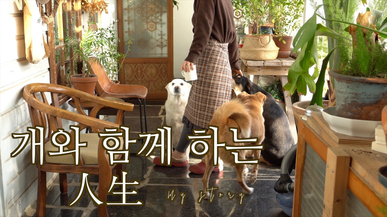 개와 함께 하는 인생, 아무 말 없이 곁에 있어준다는 것 (11번째 이야기)