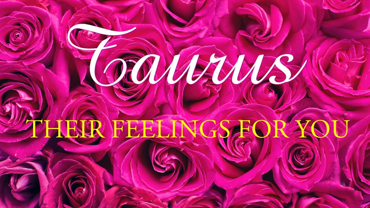 TAURUS tarot love ♉️ The One Who Has Been A Runner Will Express Remorse For What Happened Taurus