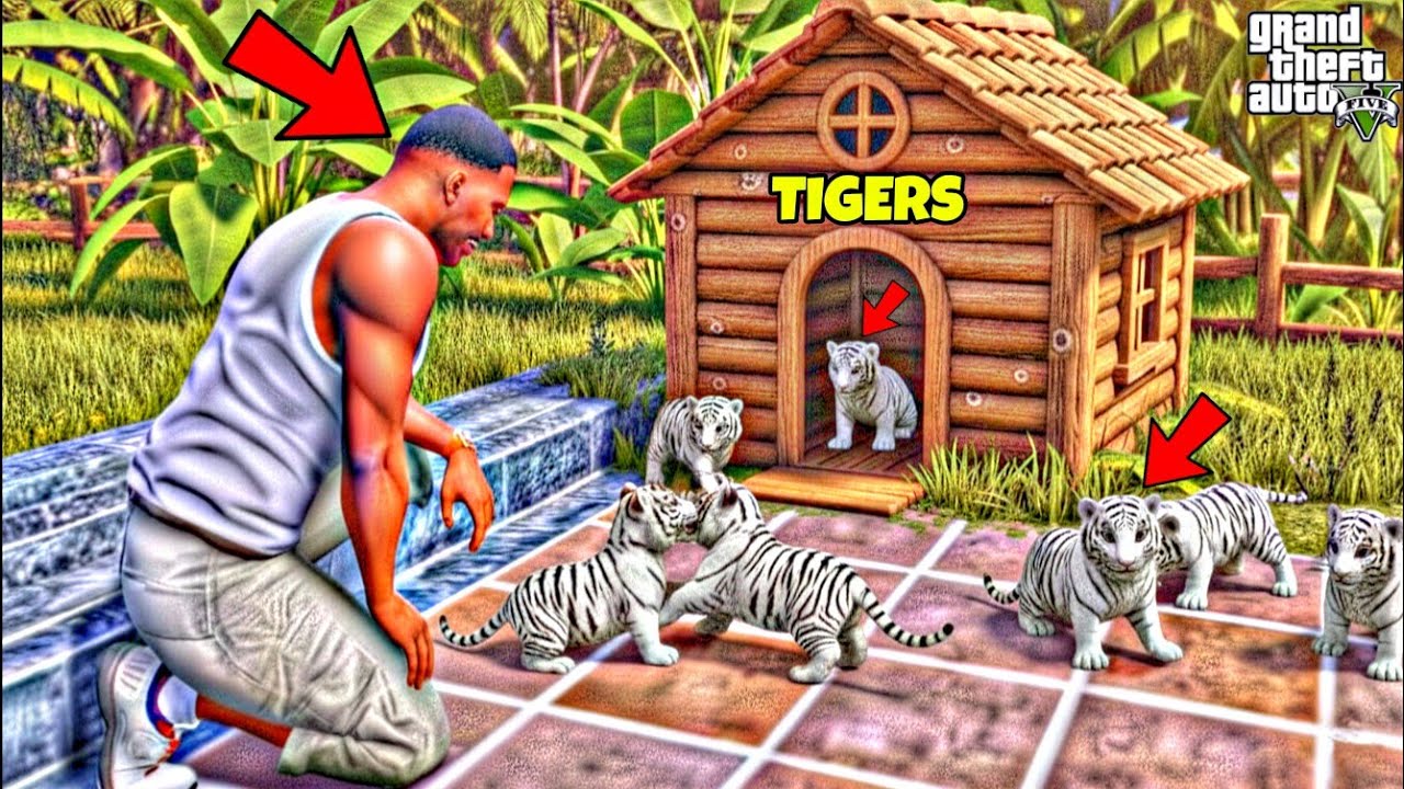 Franklin Rescue Every Innocent Tigers Babies in GTA 5 