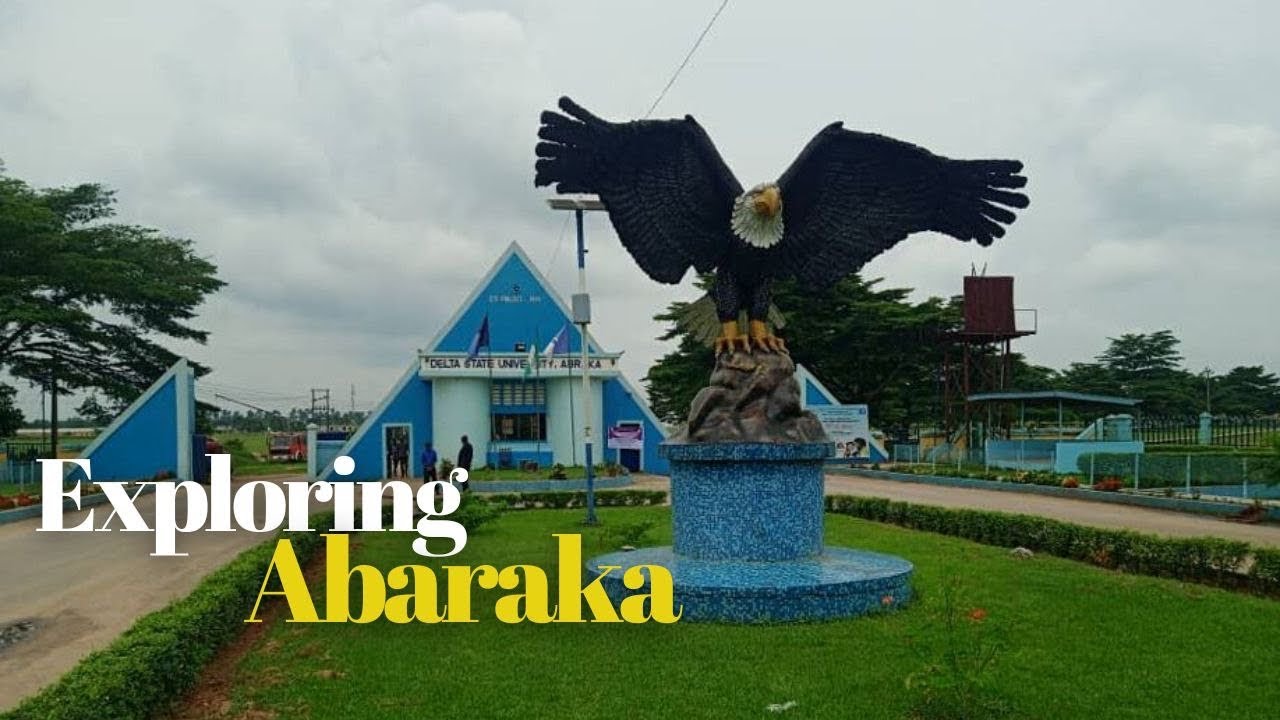 Abraka, Not What I Imagined.