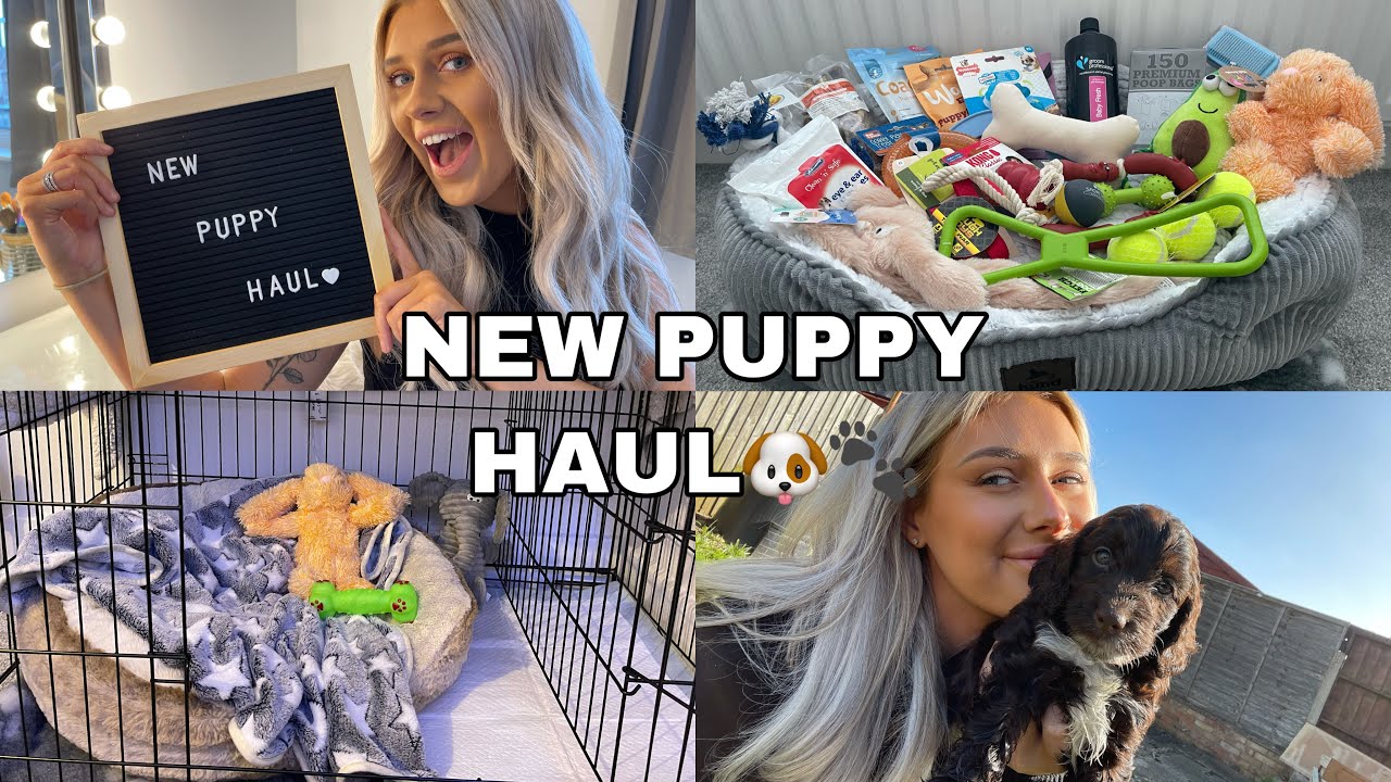 NEW PUPPY HAUL | EVERYTHING I BOUGHT FOR MY COCKAPOO PUPPY🐾