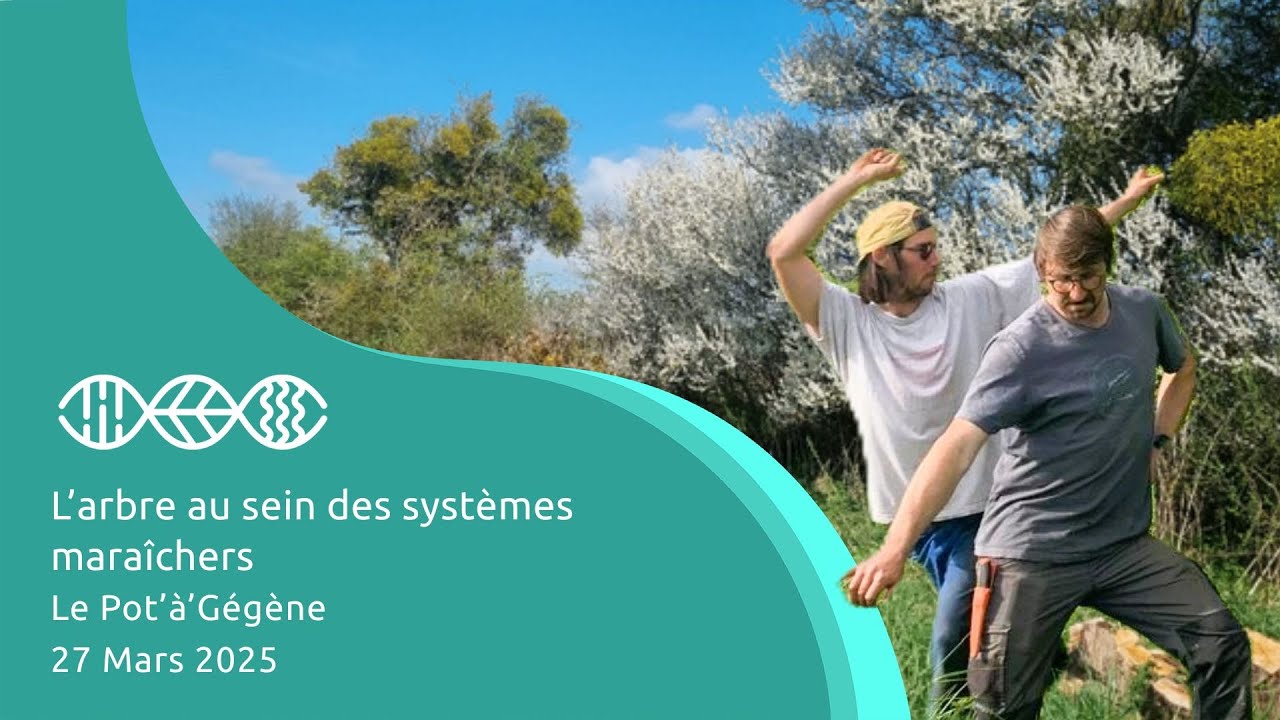 La place de l'arbre au sein des systèmes maraîchers - Le Pot'à'Gégène - 27 Mars 2025