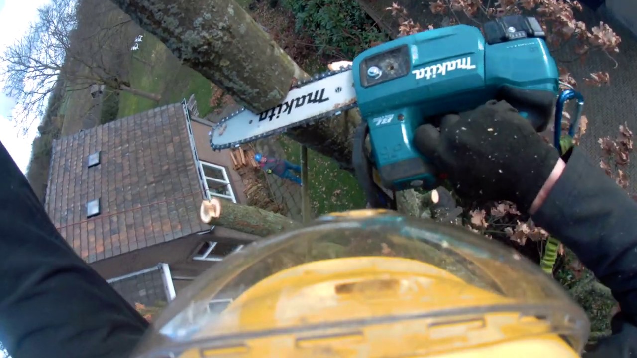 Kleine eik afbreken- oak removal - Makita DUC254