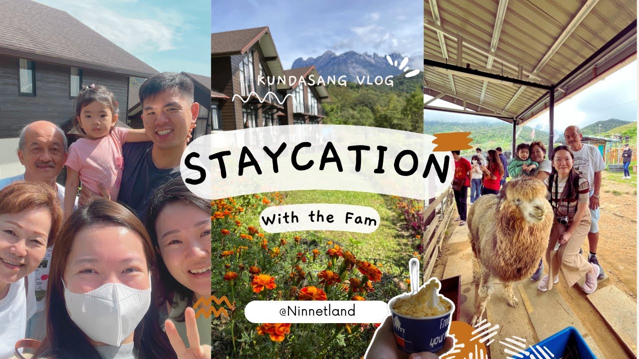 [Kundasang Vlog] Staycation with The Fam~ Konunukan Gardenstay~ Desa Dairy Farm~ Alpaca Club