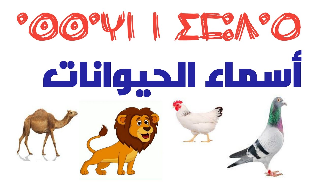 تعلم أسماء الحيوانات بالامازيغية #تعليم_الامازيغية