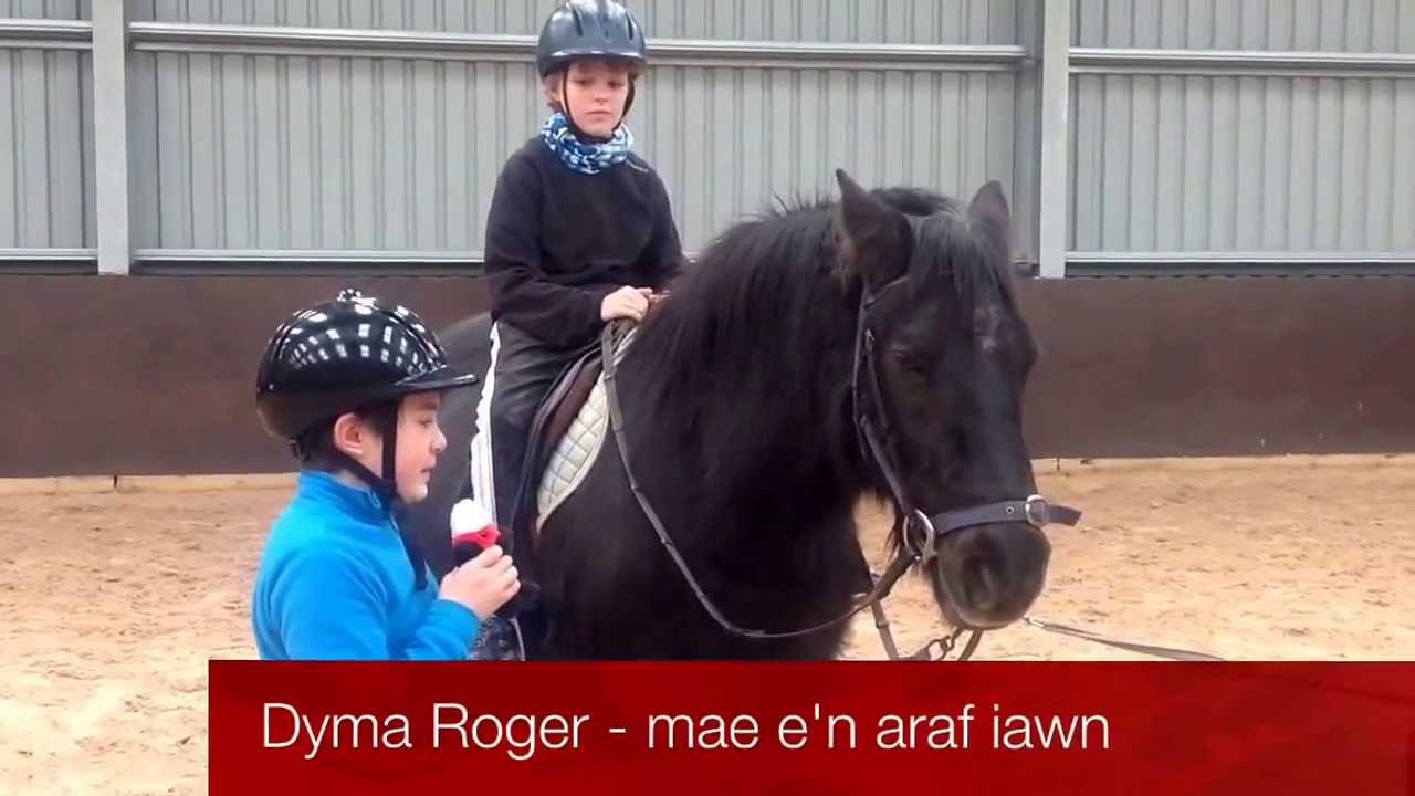 Merlota yn Llangrannog