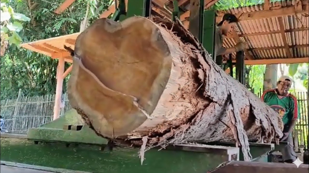 Amazing..!! This mysterious wood has beautiful hidden grain inside the wood.