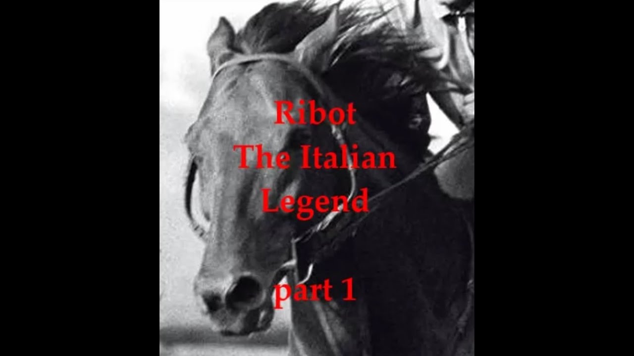 RIBOT 1 : The birth of a Champion