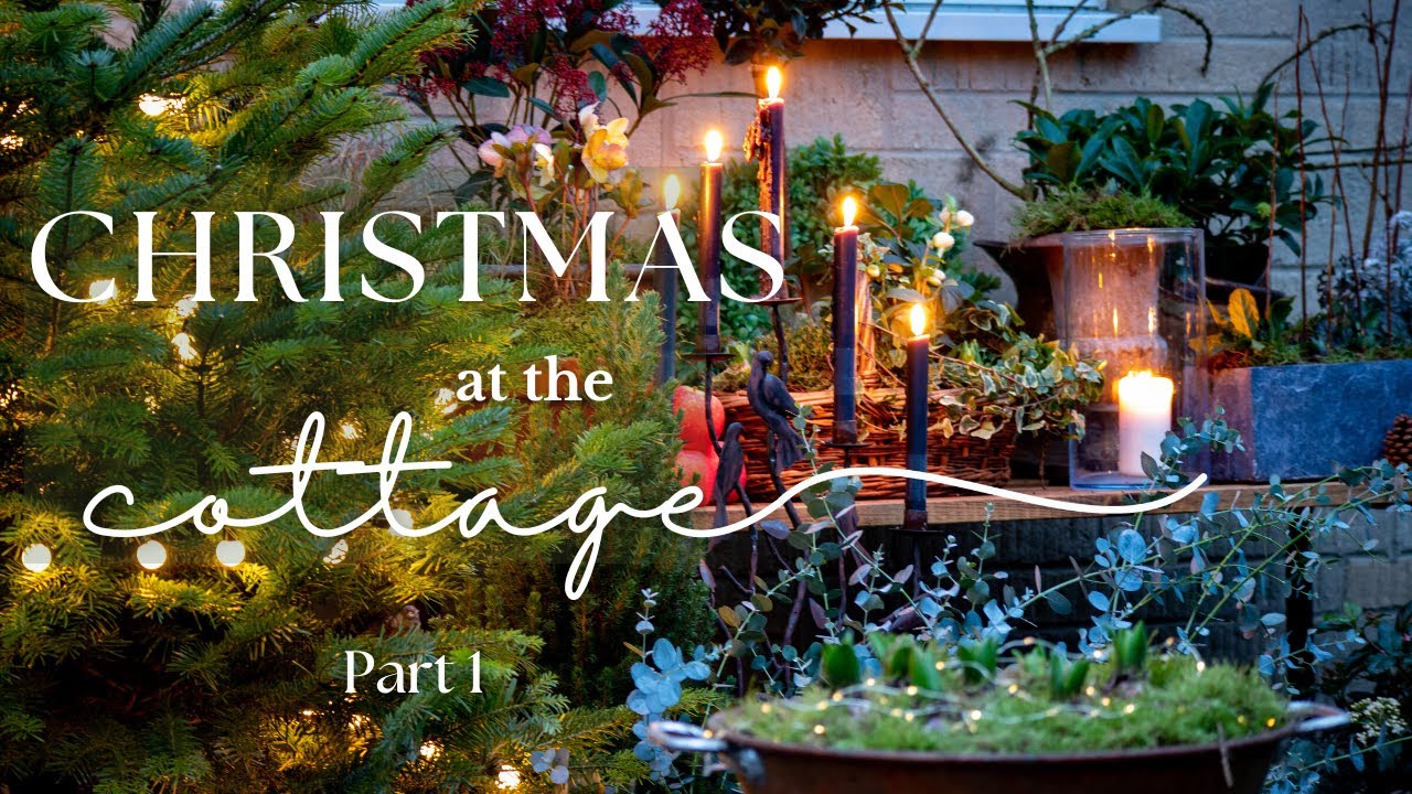 I made my DREAM CHRISTMAS GARDEN decor 🎄✨ Christmas at the cottage