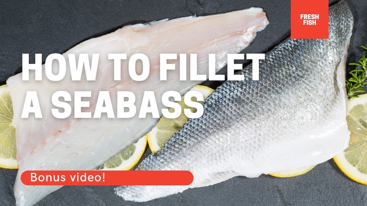 Hoe fileer je een ZEEBAARS? bekijk het hier! | How do you fillet a fish?|#diy #2021#27