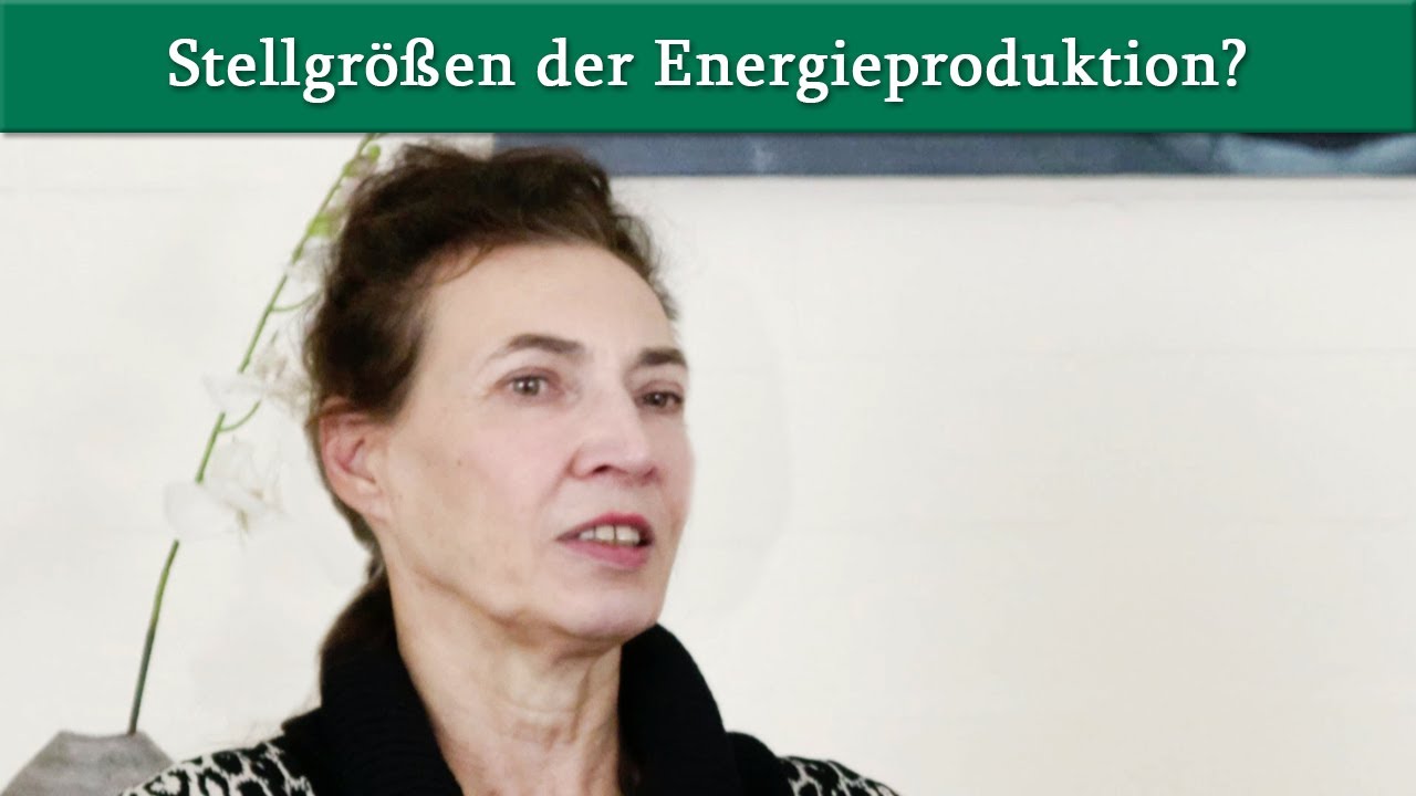 Stellgrößen unserer Energieproduktion?  | Prof. Dr. König im Interview mit Dr. med. Dirk Wiechert