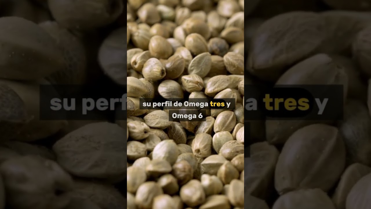 Semillas de c&aacute;&ntilde;amo la mejor prote&iacute;na vegetal 🌱#alimentossanos #salud #sabiasque