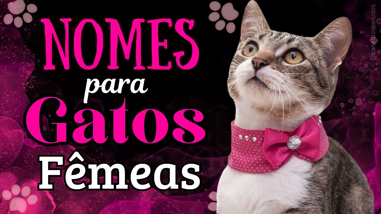 30 Nomes para Gatas Fêmeas💖🐈😻#nomesdegatos