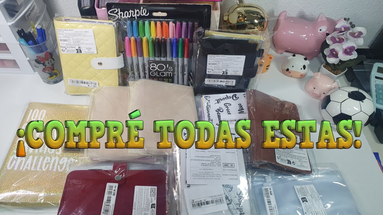 ¡ME PASÉ COMPRANDO! 🤯 SUPER HAUL de Carpetas de Finanzas de SHEIN 🤑