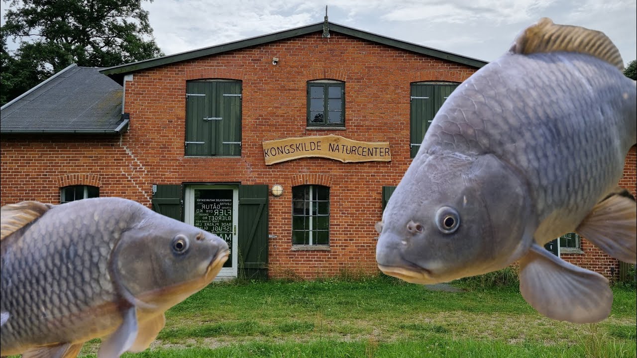Kongskilde Naturcenter.