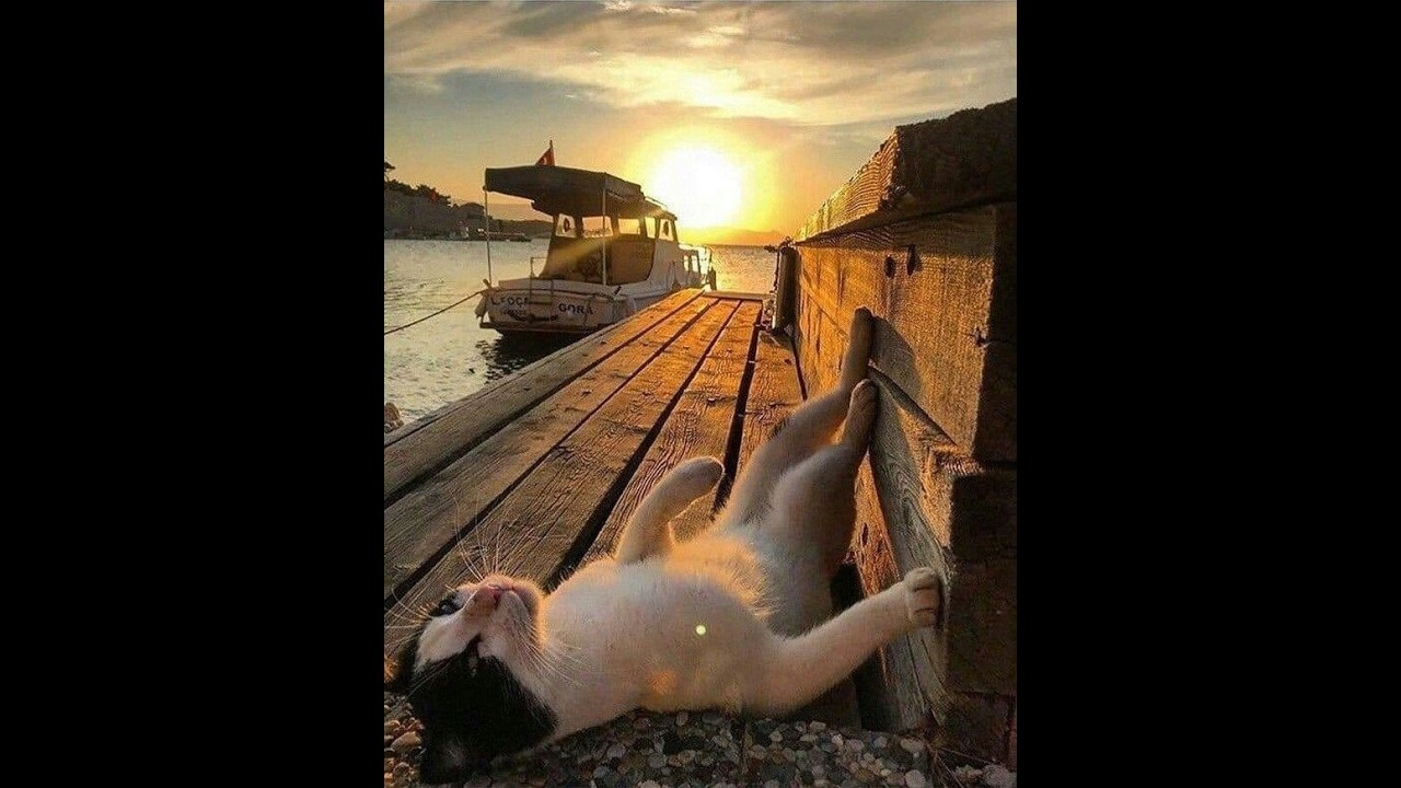 Still Waters Slumber1在靜水旁安然入睡 🌙 平靜助眠・整夜安穩📌 | Gentle Ambient for Sleep 🌙 Calm Night & Deep Rest