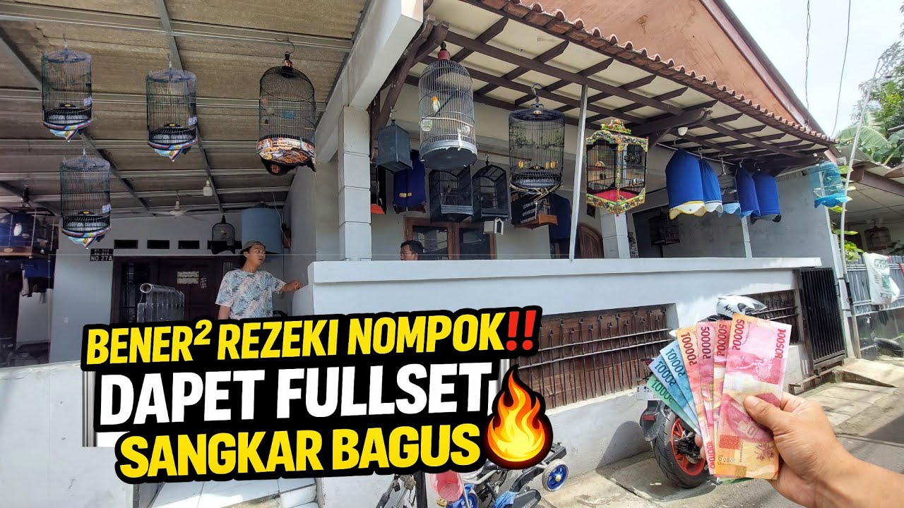 REZEKI NOMPLOK ‼️DUDUK MANIS LANGSUNG DAPET BURUNG GACOR FULLSET + SANGKAR BAGUS🔥