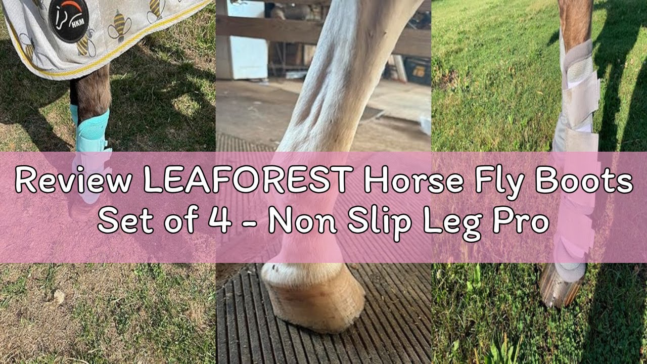 Review LEAFOREST Horse Fly Boots Set of 4 - Non Slip Leg Protection for Donkey Mini Pony Draft, Brea
