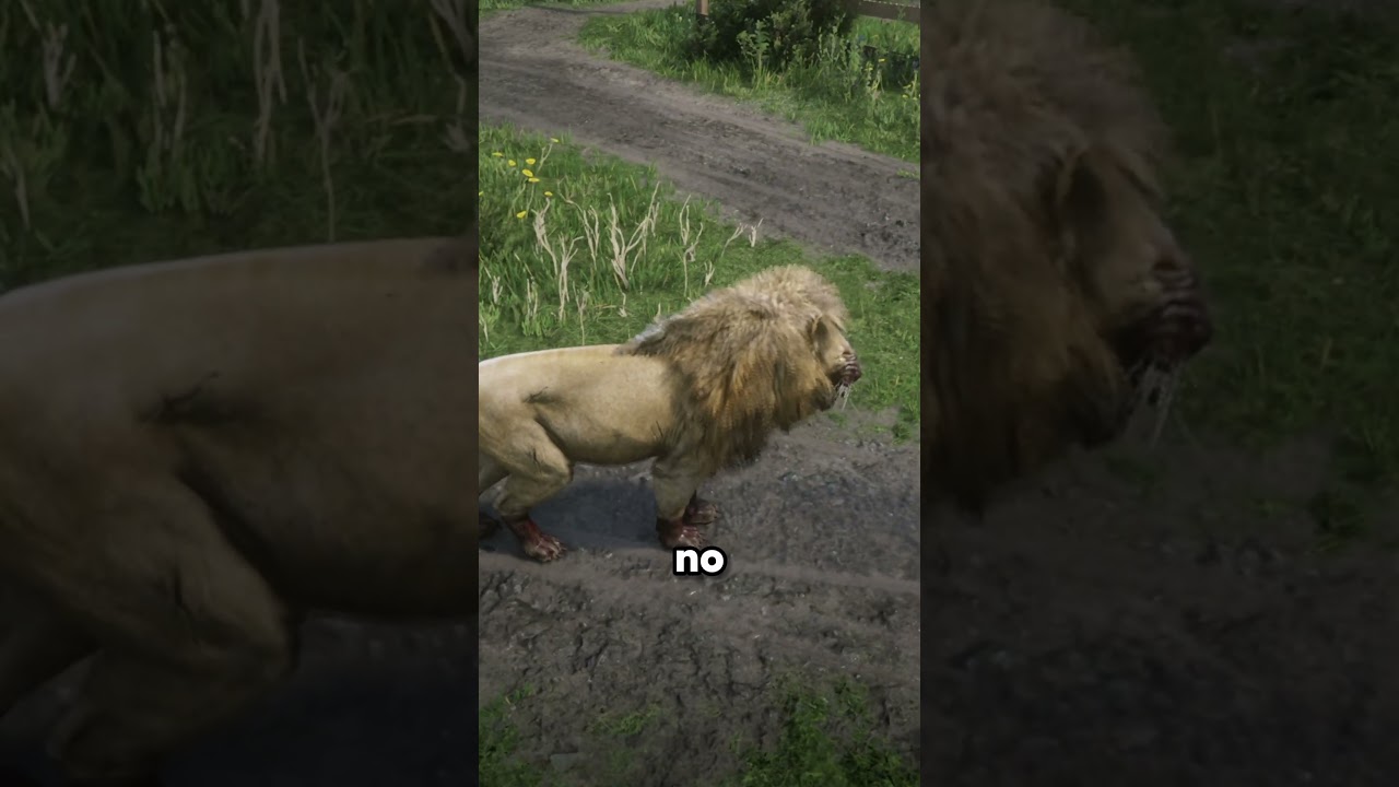 Позволить льву жить, не умирая, в RDR2 #rdr2