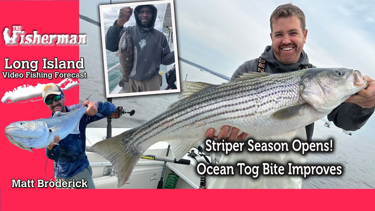 April 17th 2025 Long Island Metro Fishing Report with Matthew Broderick
