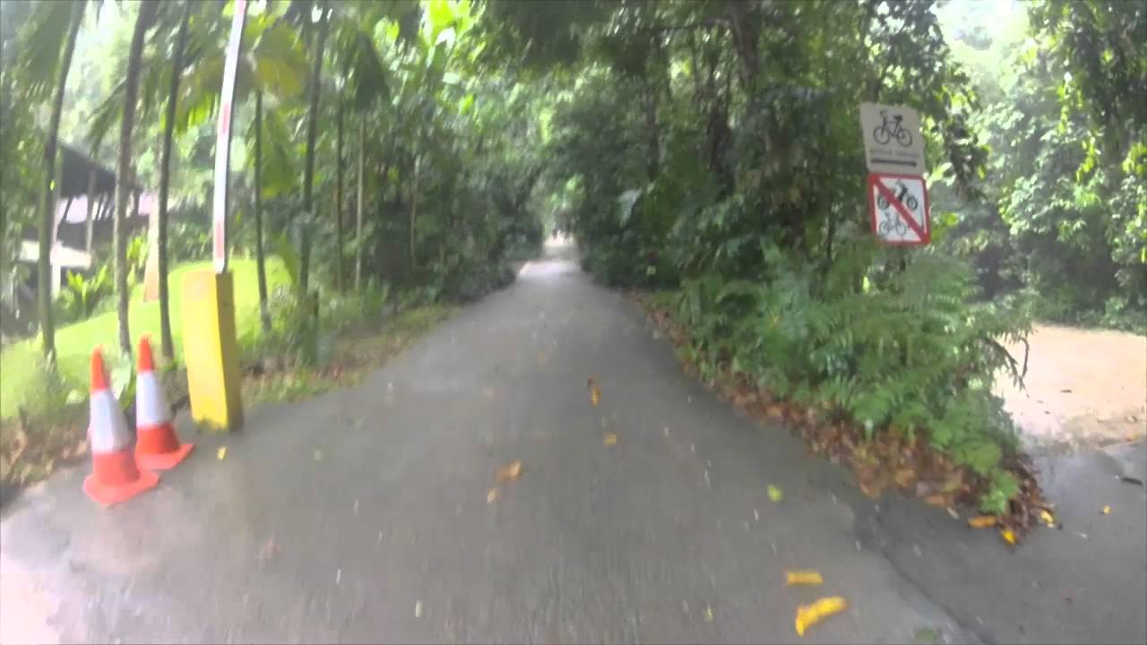 Bukit Timah summit climb