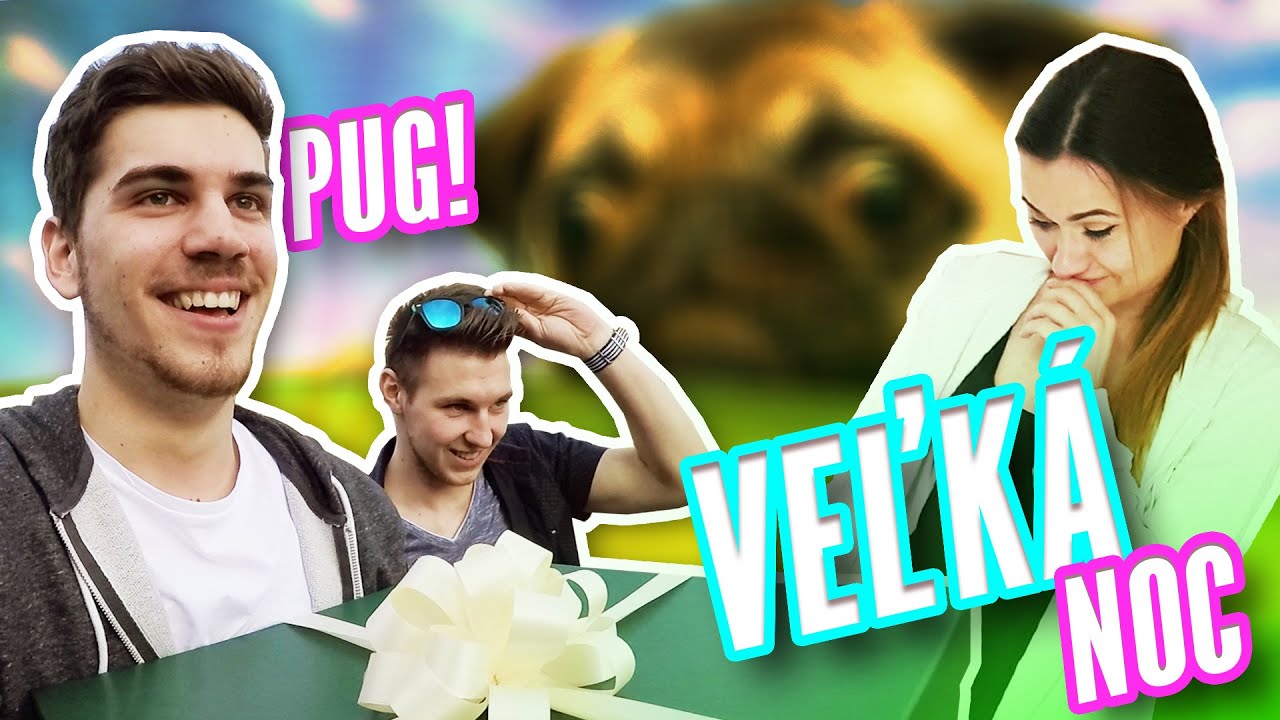 NEBER KORBÁČ, RADŠEJ MOPSA!