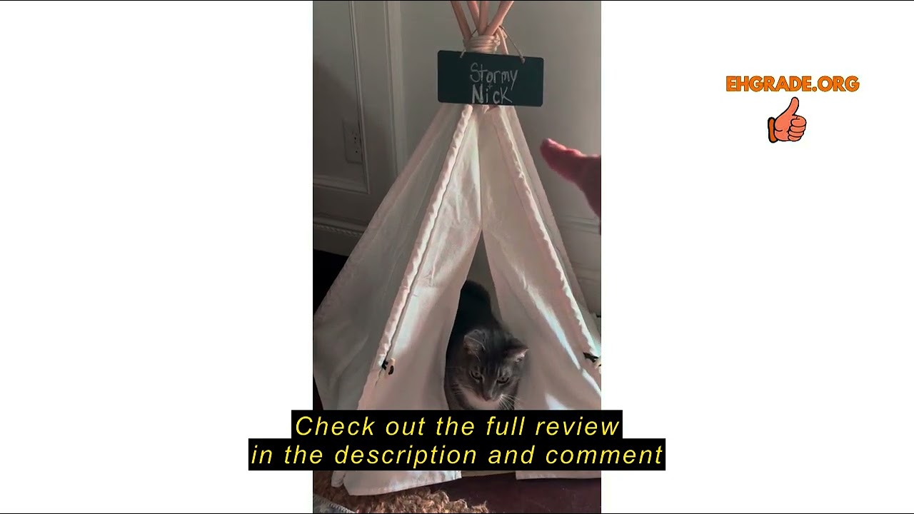 Review scnbom Dog Teepee Pet Tents Tipi Portable Houses Puppy Cat Bed with Thick Cushion (L:60 * 60