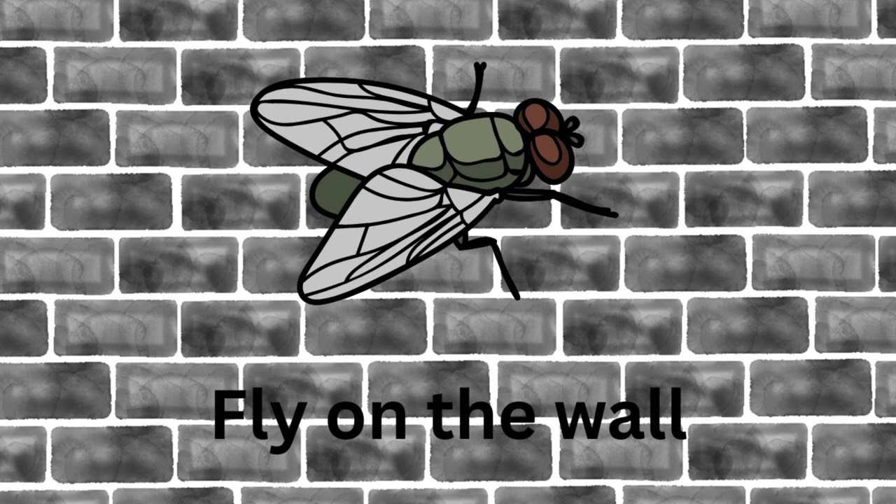 Fly on the wall