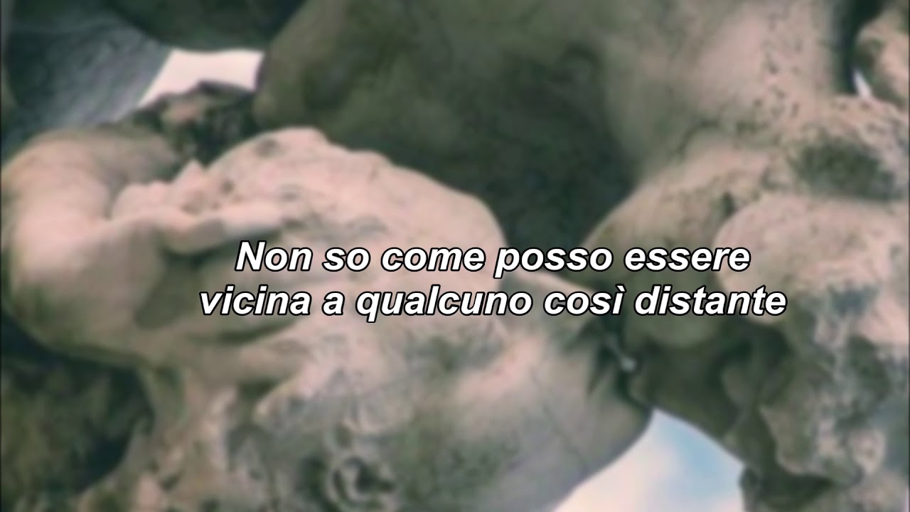 Dynasty - MIIA traduzione