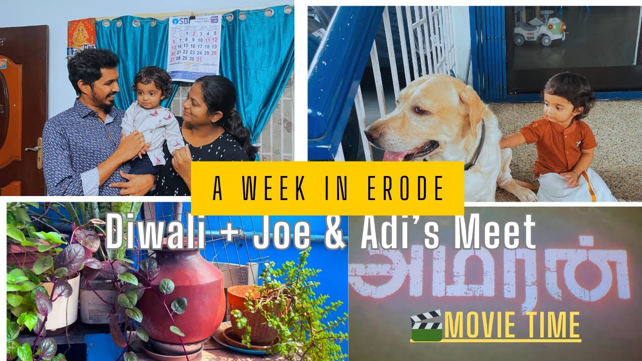 தமிழில்:A Week in Erode | Diwali Special | Adi & Joe’s Meet | Amaran Movie #amaran #labrador #diwali