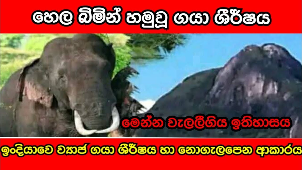 ඉංදියාවෙ ගයා ශීර්ෂය හා හෙල බිමෙන් හමුවූ ගයා ශීර්ෂය අතරින් සත්‍ය ඉතිහාසය සොයා යමු | Gayashirshaya