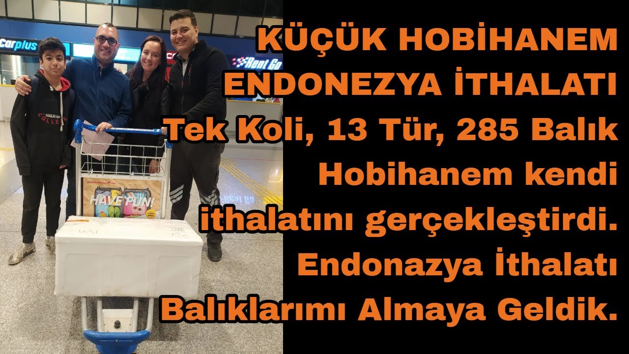 Akvaryum Vlog #465 (Kendi İthalatımı Yaptım)