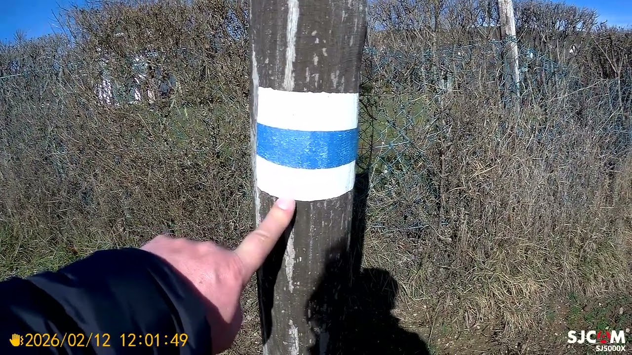 Csütörtöki gyalogtúra Zánka és Dörgicse között 4.