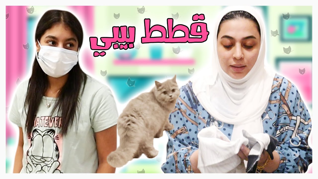 قطتنا توتي ولدت يا ليل 😂 - عائلة عدنان