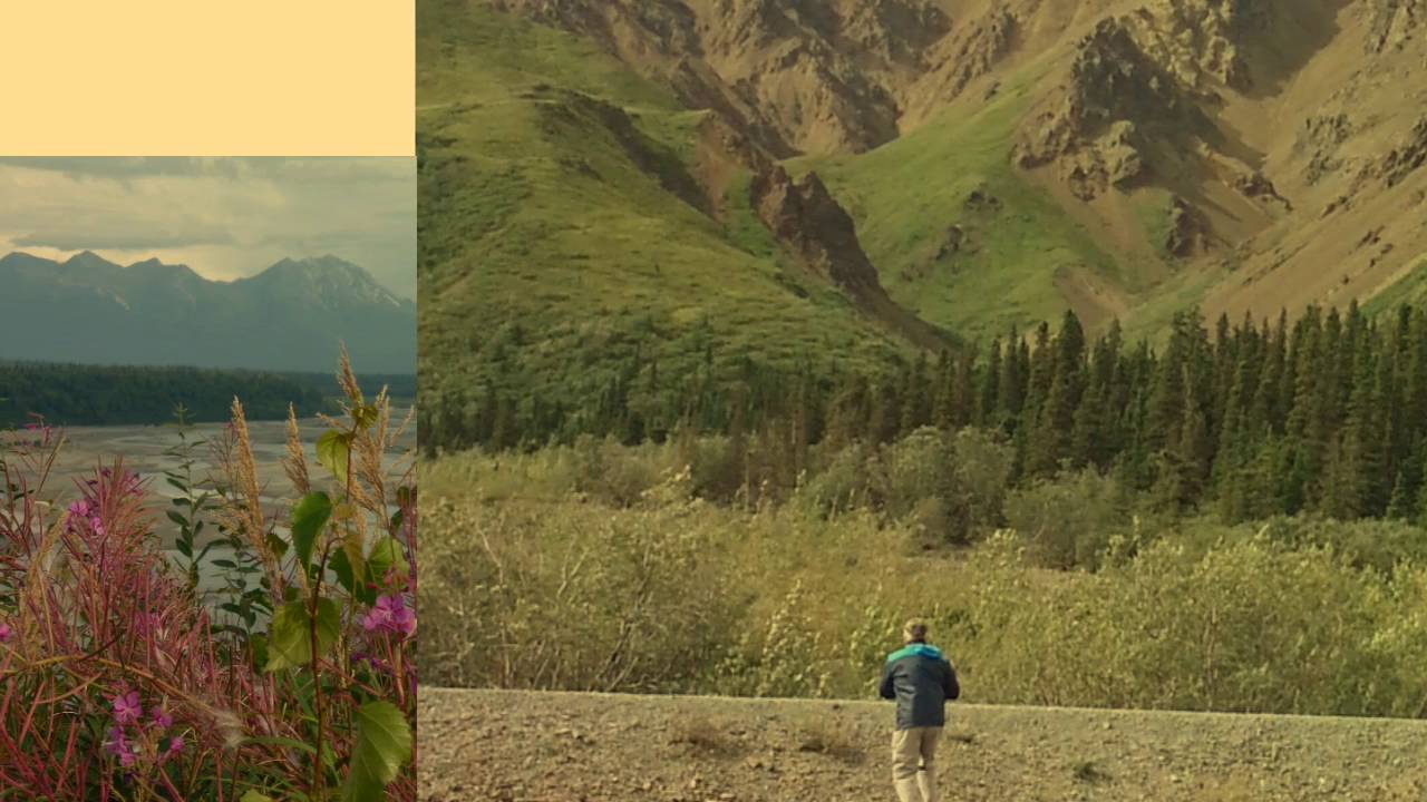 Alaska Views