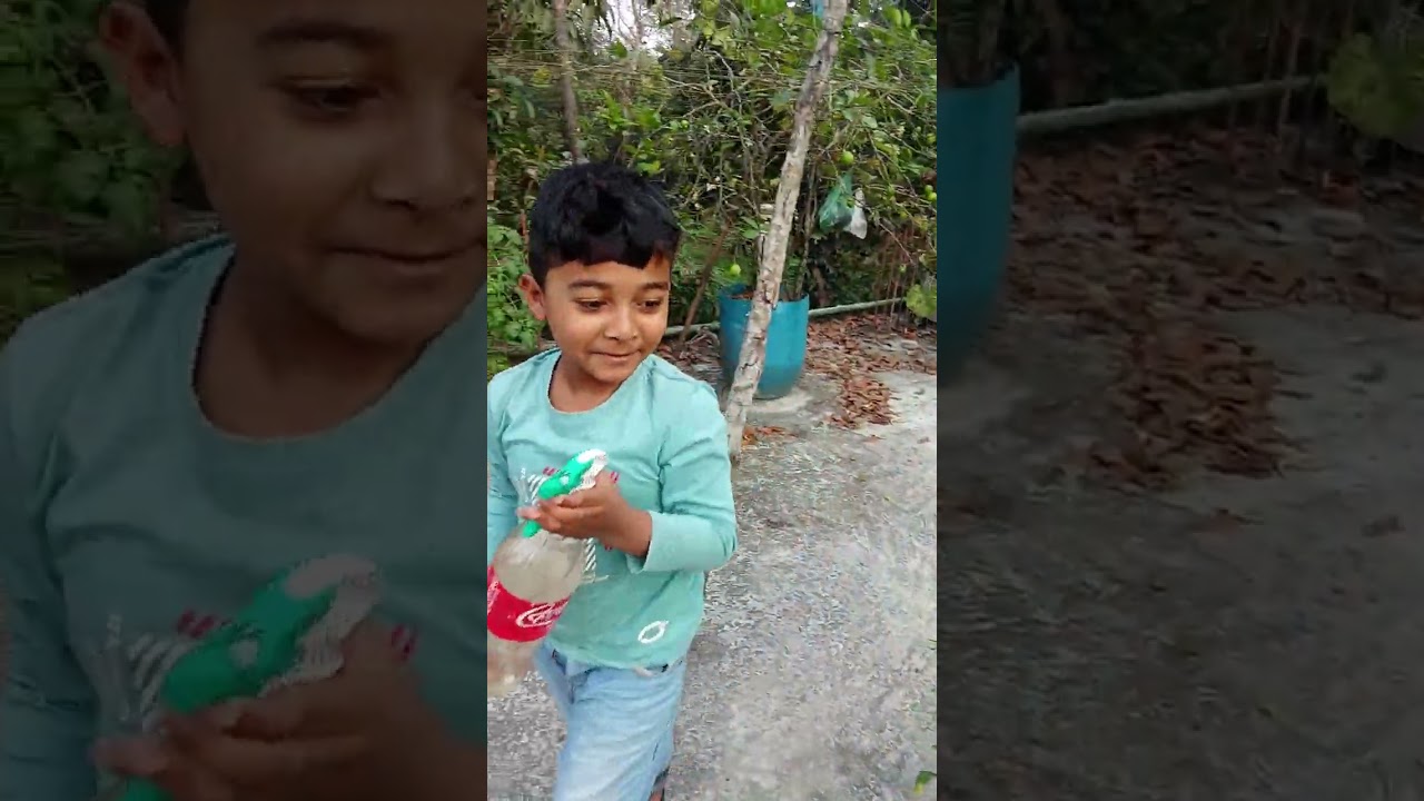 আমার ছাদ বাগানের পালং শা❤️ক