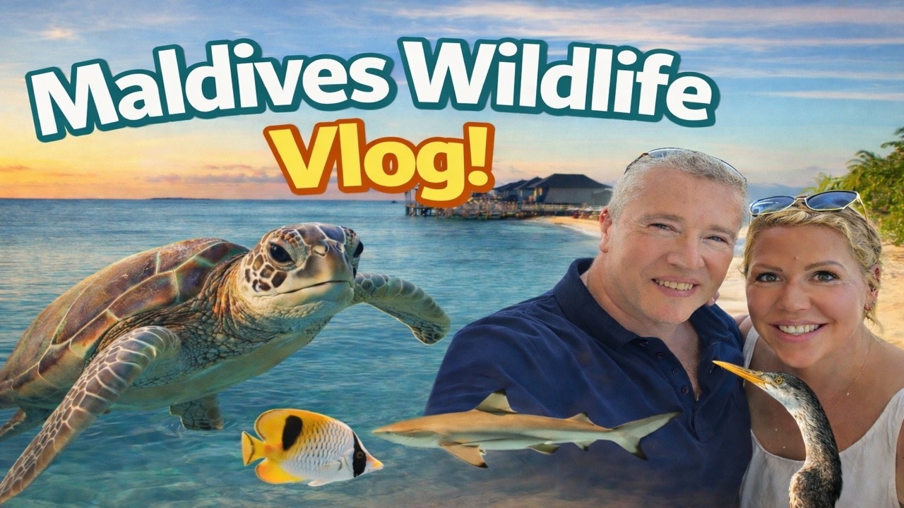 Maldives Wildlife