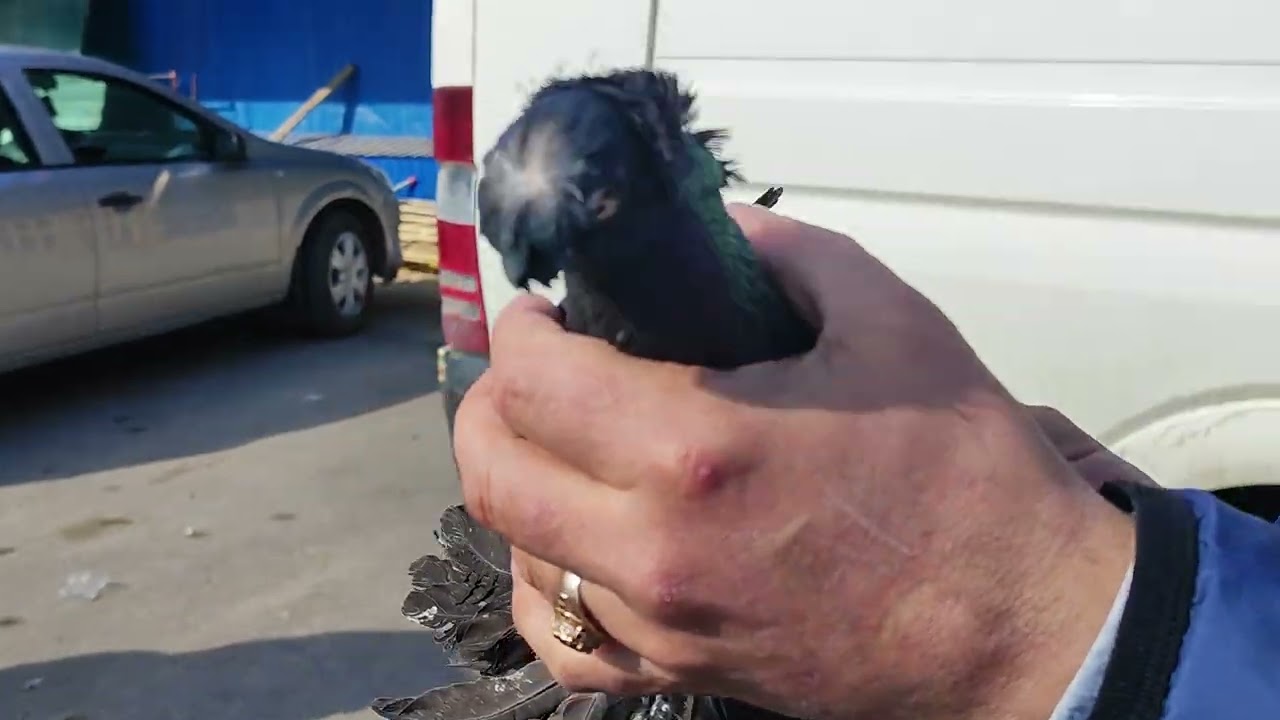 22.03.2025 г Воронеж ч. 3 Ярмарка
