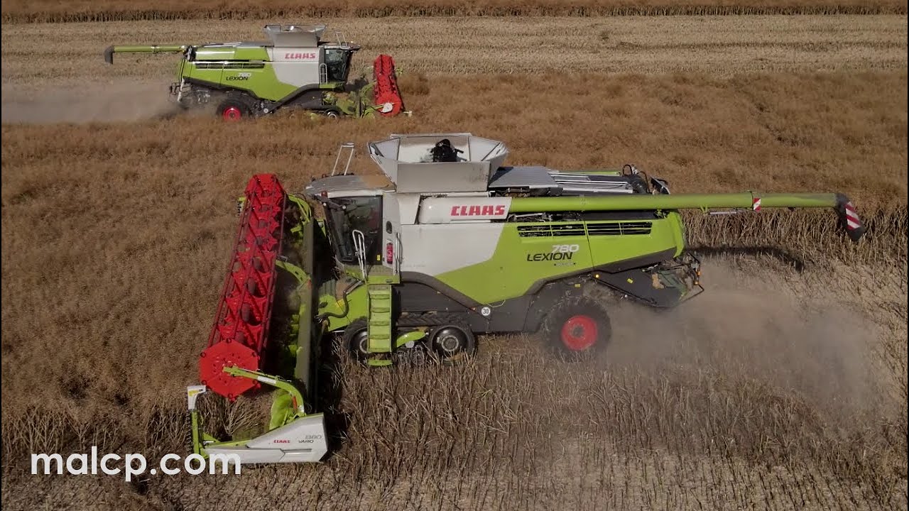 Harvest 2022: 2x Claas Lexion 780TTs cutting OSR near Beccles, Suffolk