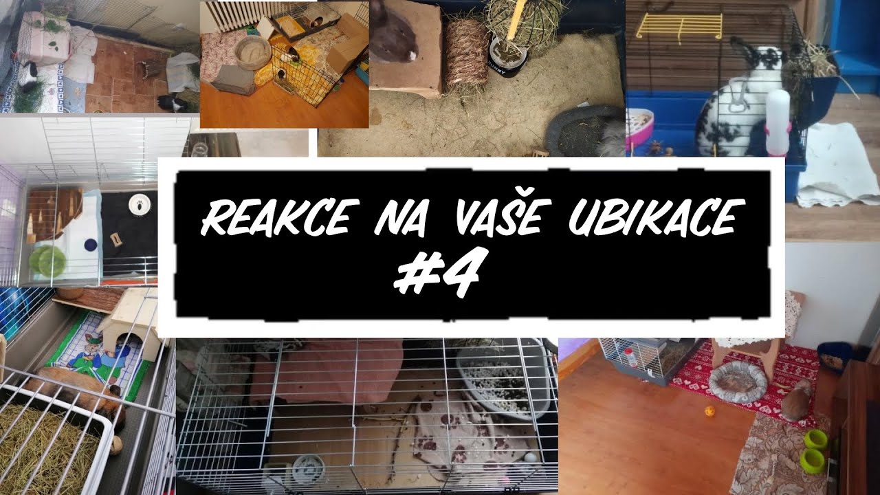 Reakce na vaše ubikace #4| KD