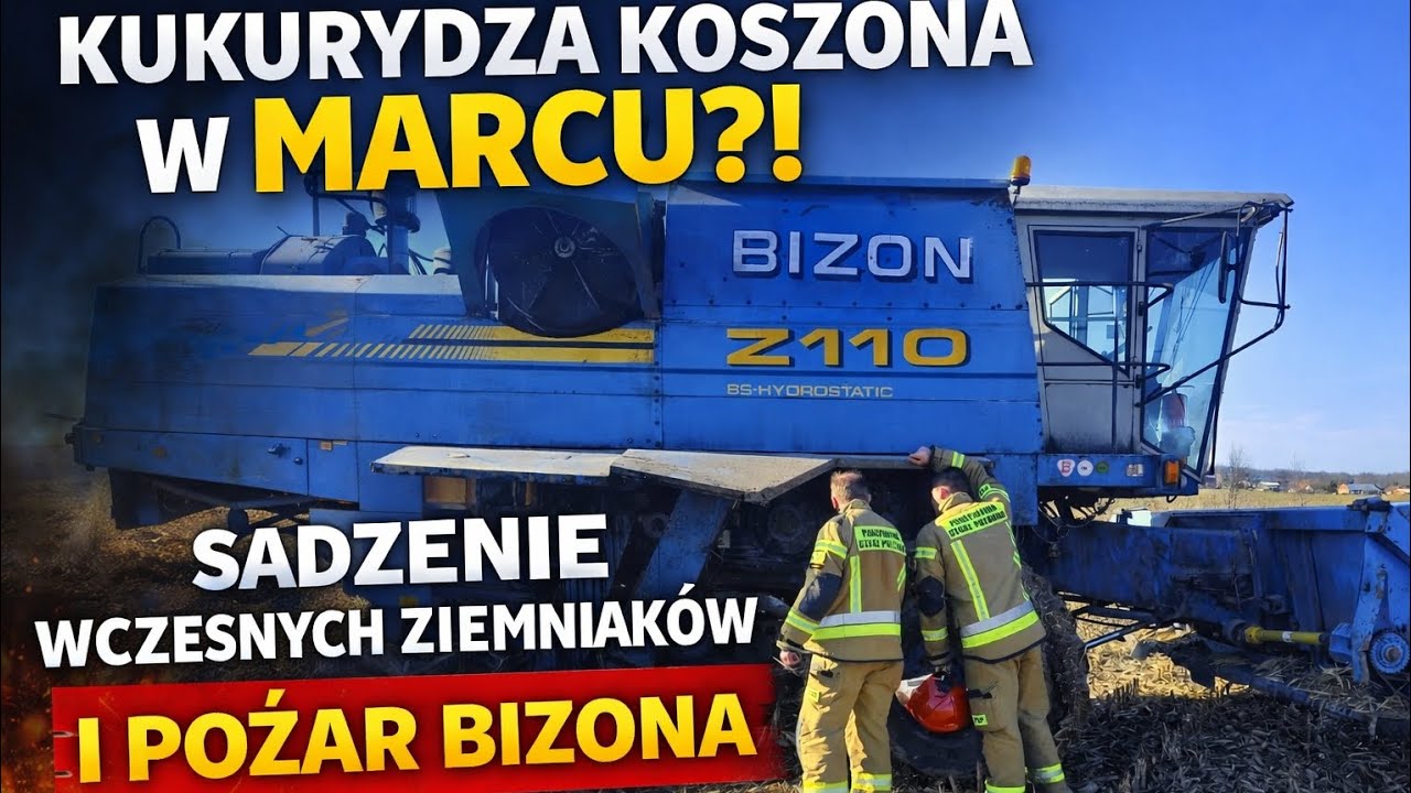 SHOCK AND ANOTHER DISASTER!!! Corn harvested in MARCH?! Planting early potatoes and the Bison fire