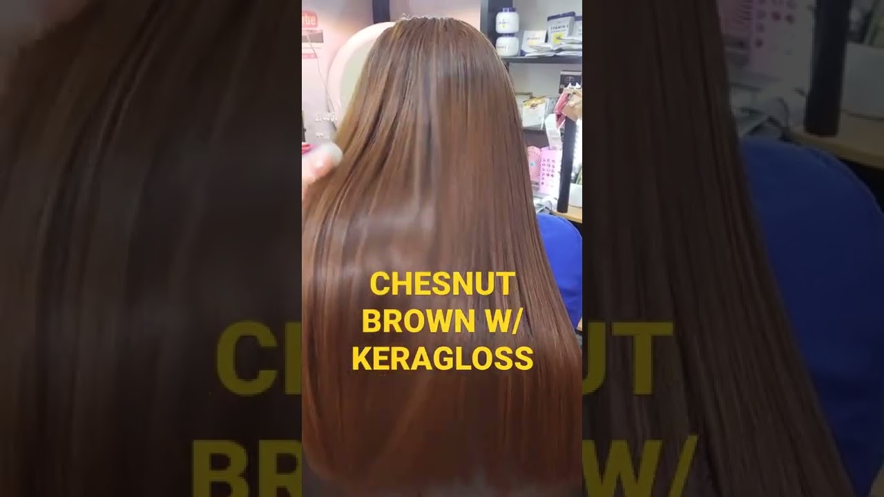 HAIR COLOR/ CHESNUT BROWN