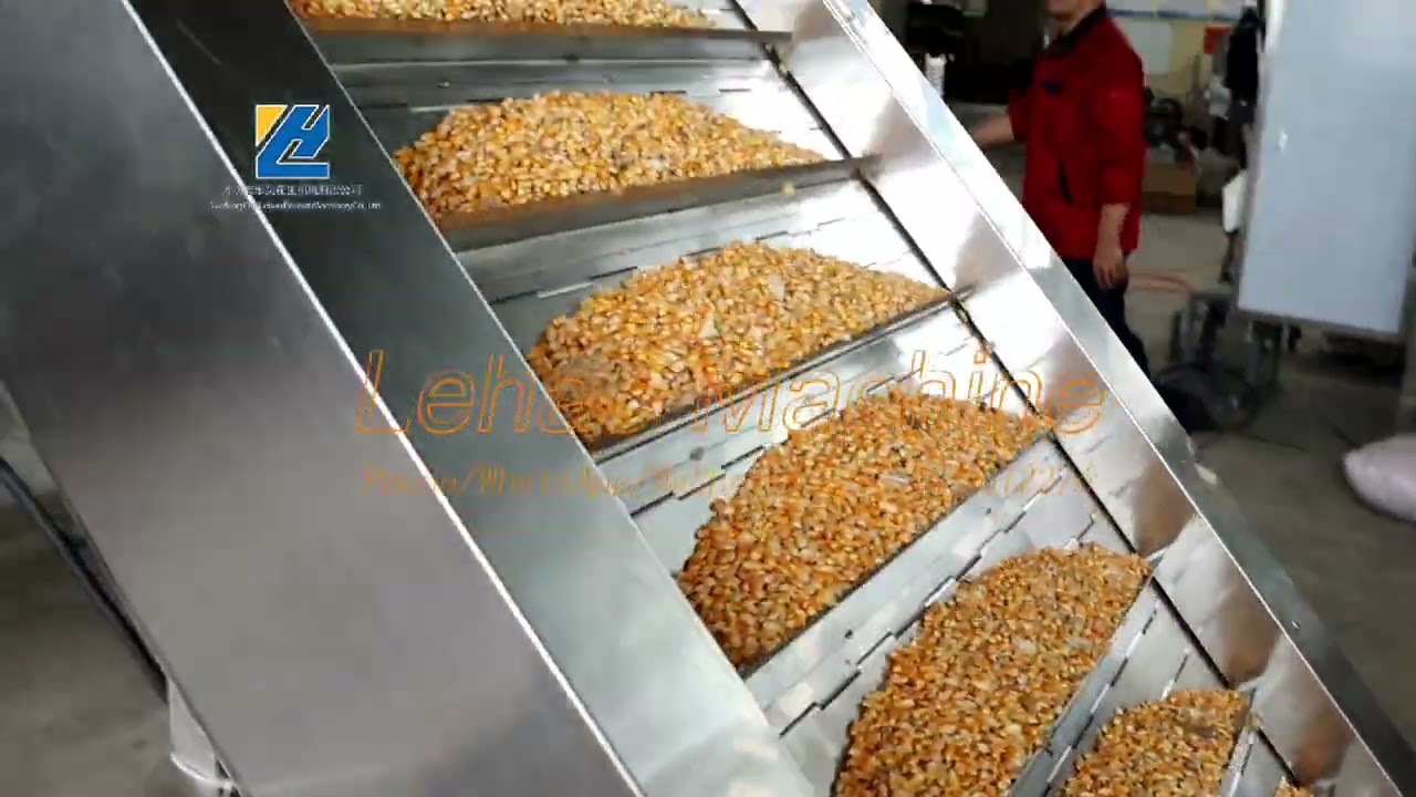 Corn frying production line