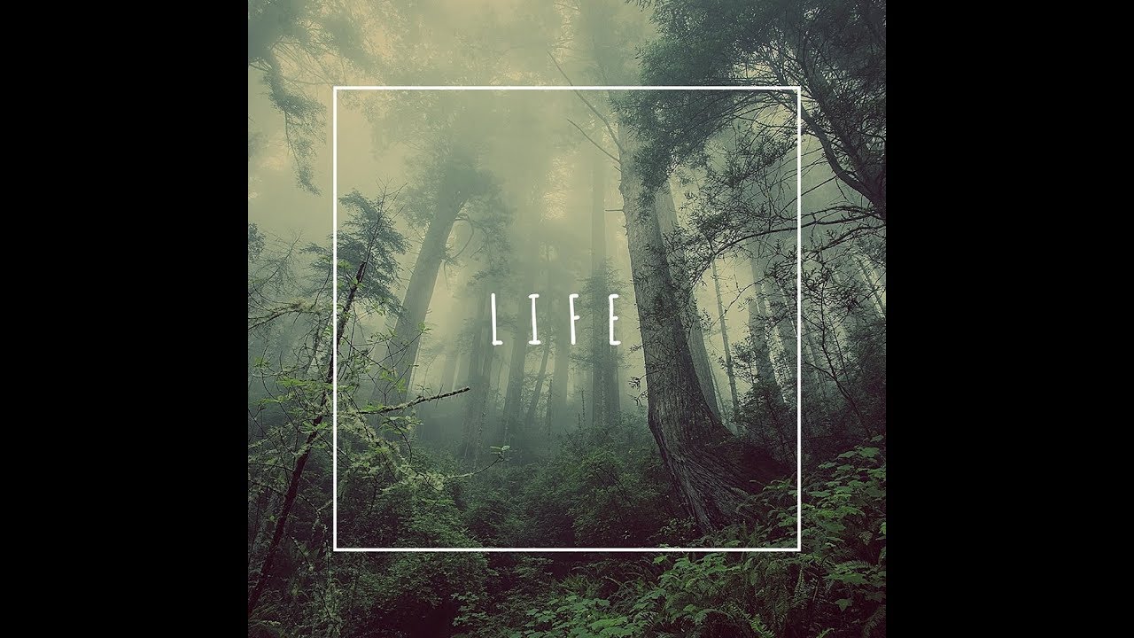 Phlocalyst - Life [Full BeatTape]