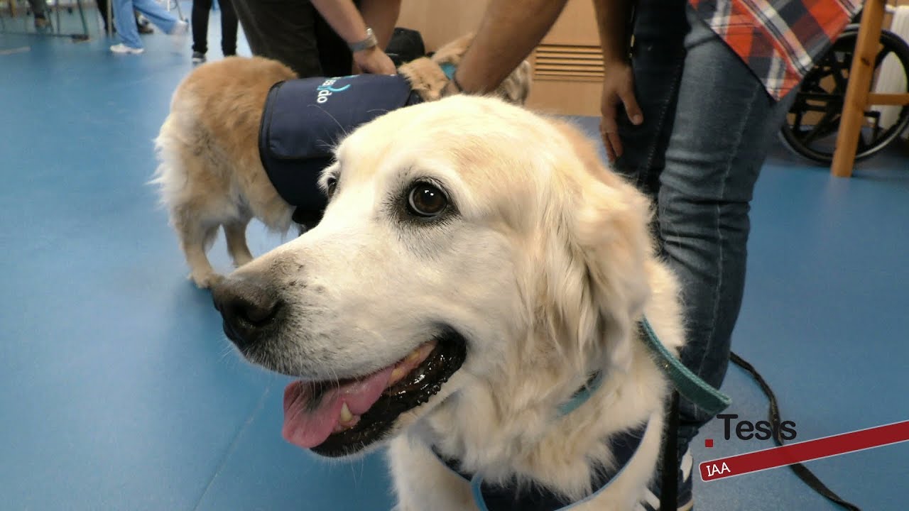 INTERVENCIÓN ASISTIDA CON ANIMALES