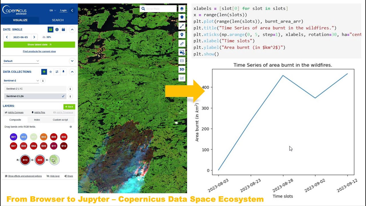 From Copernicus Browser to Jupyter Notebook
