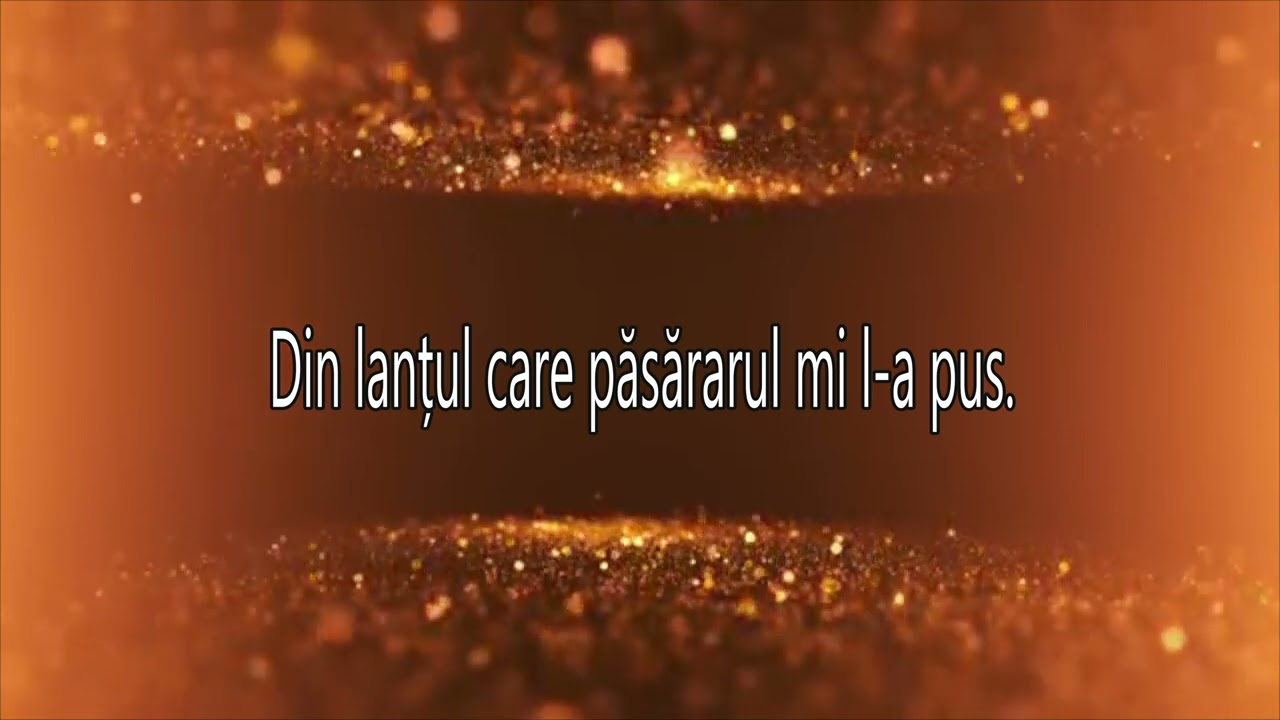NU MĂ LĂSA SĂ FIU DAT DE RUȘINE NEGATIV & TEXT 2025