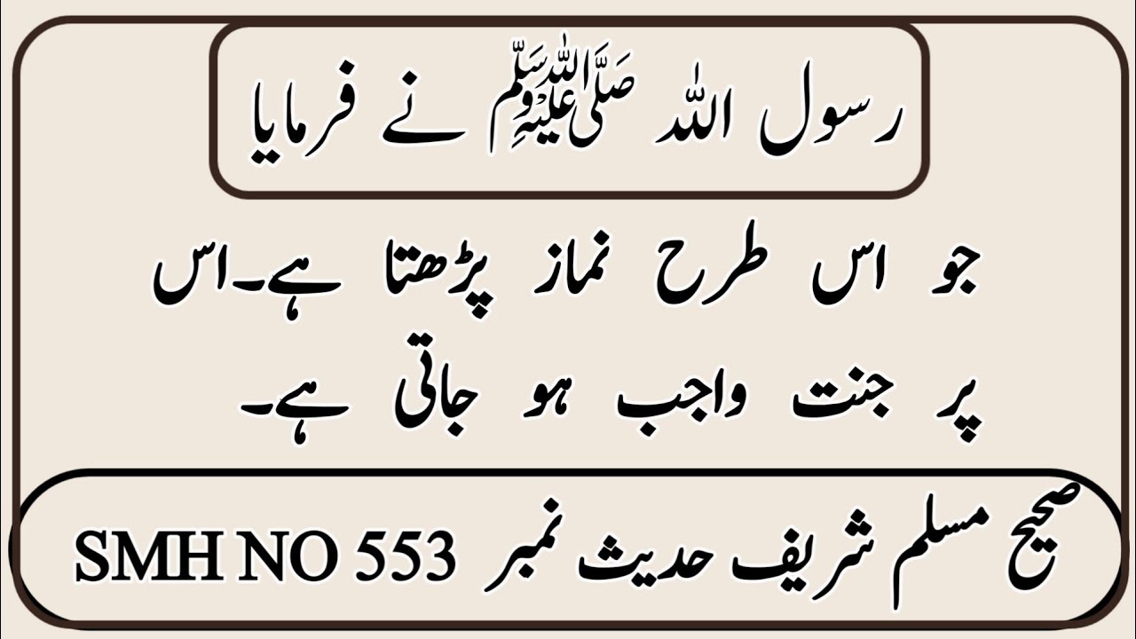 Sahih Muslim Hadees No 553 INT 234 | Pakeezgi | Hadith | Sahih Muslim Sharif