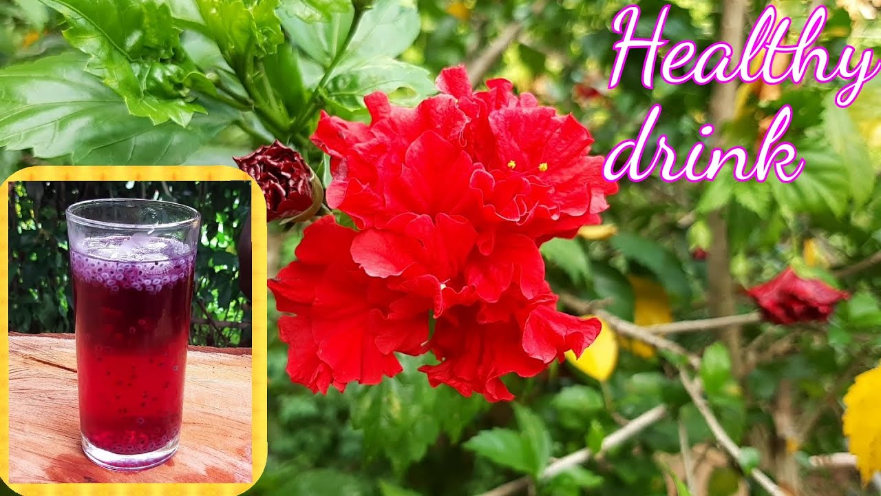 How to Make Hibiscus drink /  Herbal drink in Sri Lanka